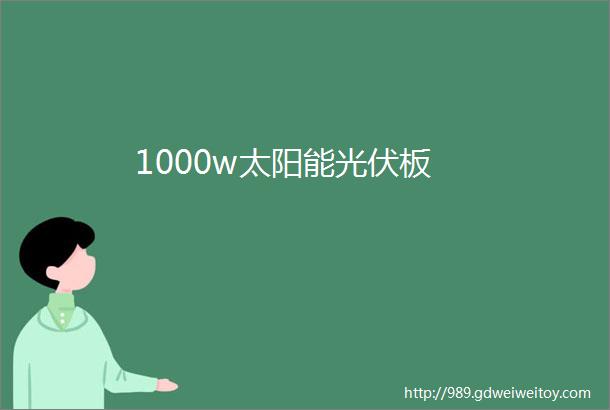 1000w太阳能光伏板